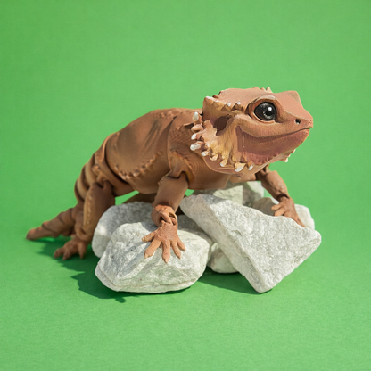 Bearded Dragon