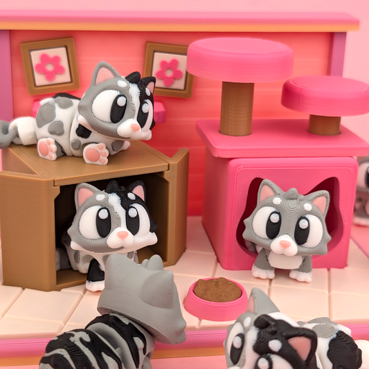Flexi Kitty Playset