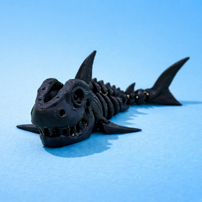 Great White Shark
