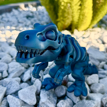 Dinosaur T Rex