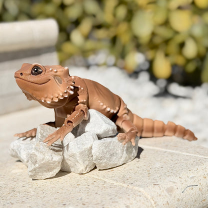 Bearded Dragon
