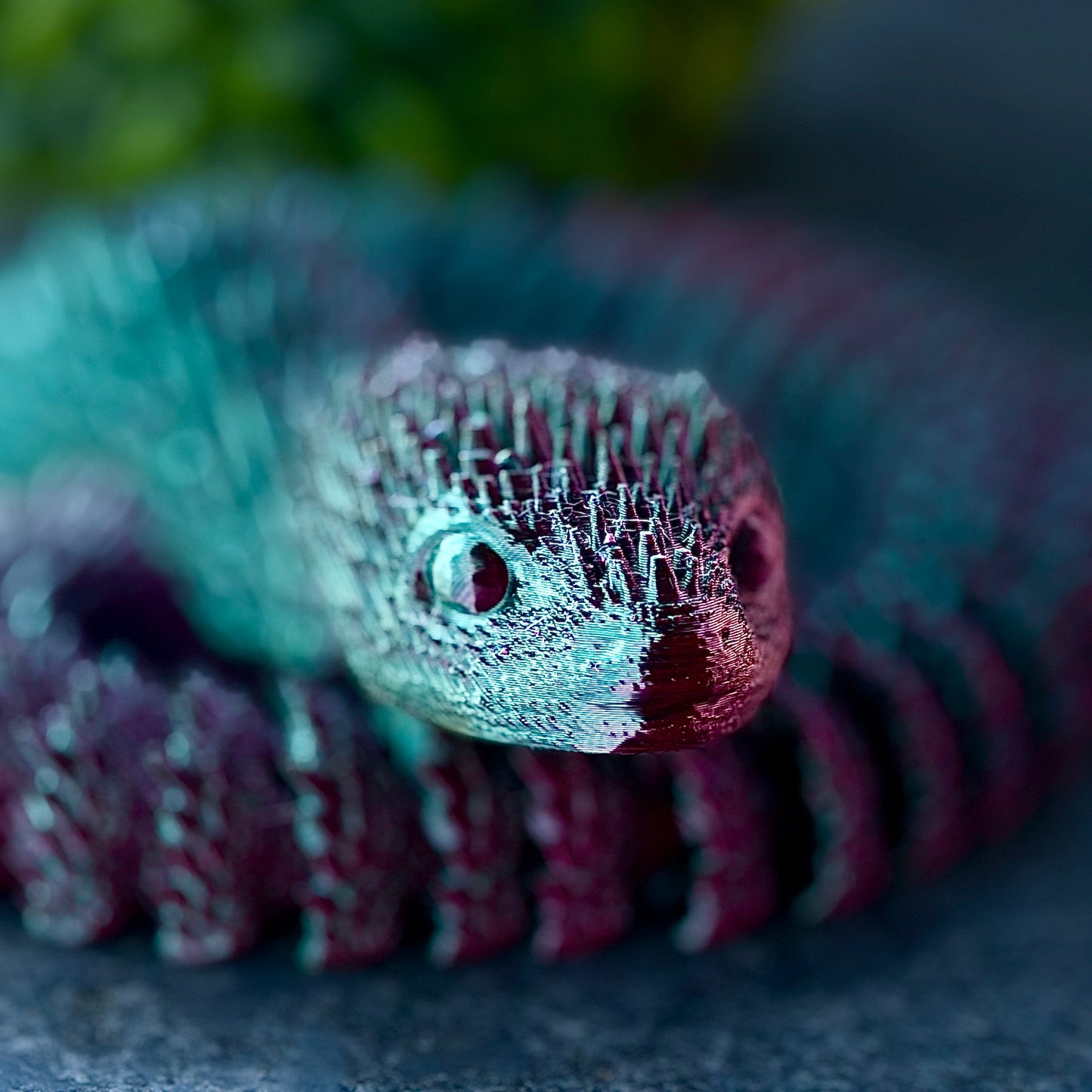 Snake