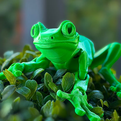 Tree Frog