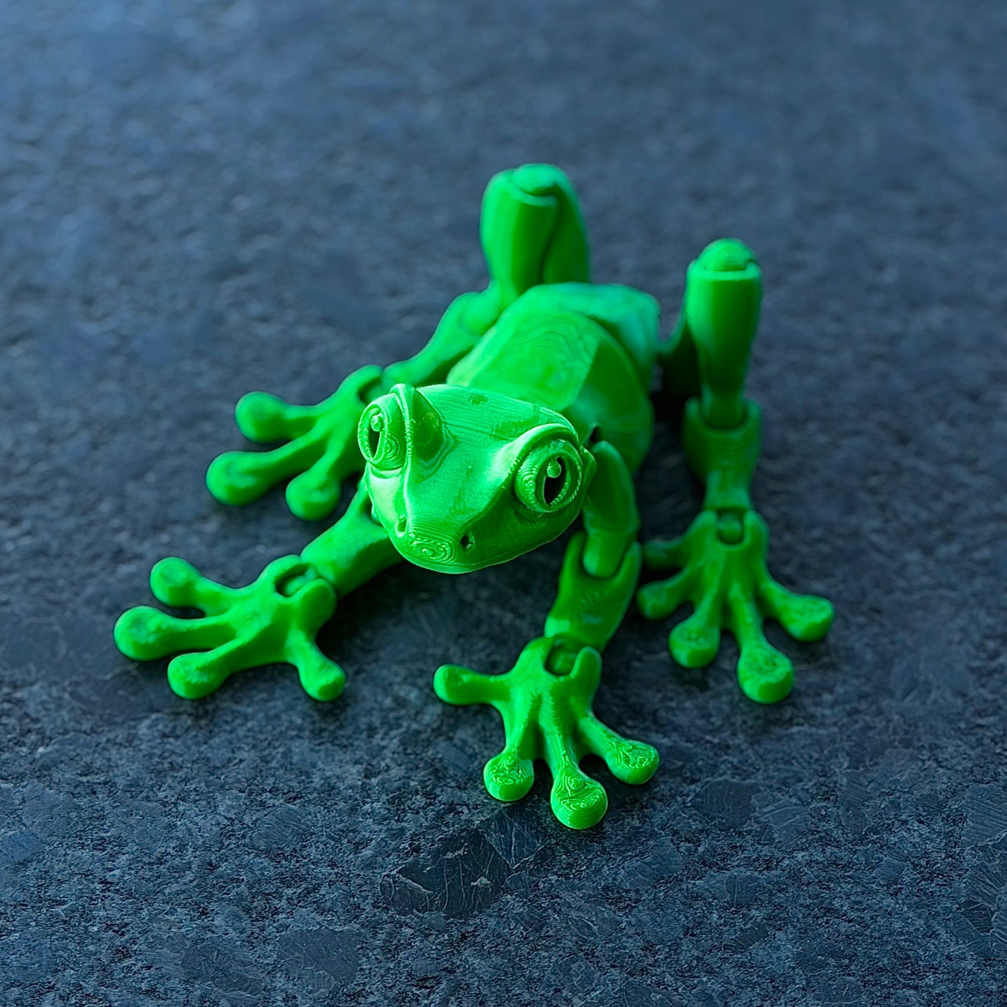 Tree Frog